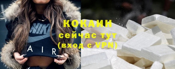 молекула духа Арсеньев