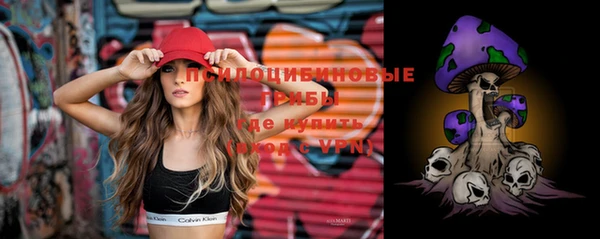 молекула духа Арсеньев