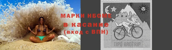 сатива Армянск