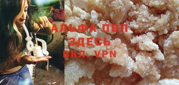 сатива Армянск