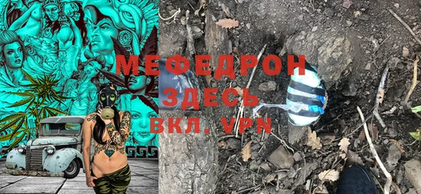 молекула духа Арсеньев
