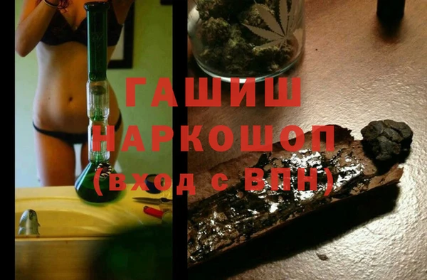 молекула духа Арсеньев