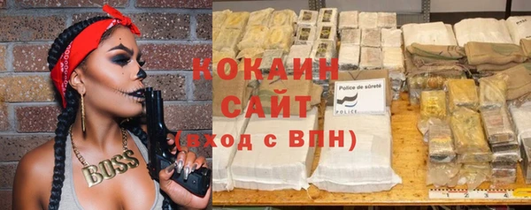 молекула духа Арсеньев