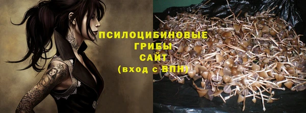 молекула духа Арсеньев