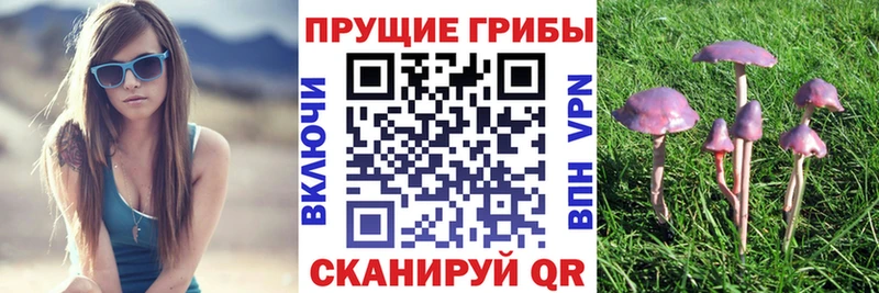 Псилоцибиновые грибы GOLDEN TEACHER Грязовец