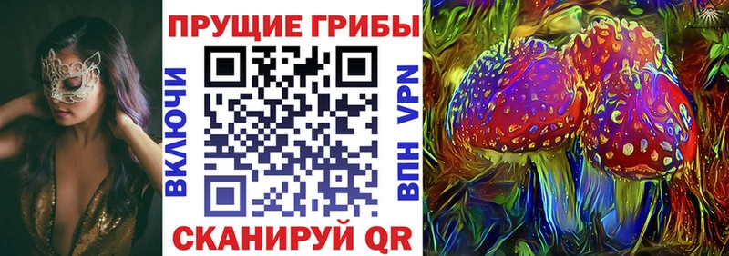 Купить где  Грязовец  Галлюциногенные грибы прущие грибы 